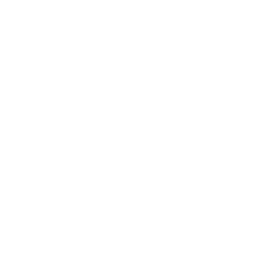 The Green Arts Initiative 